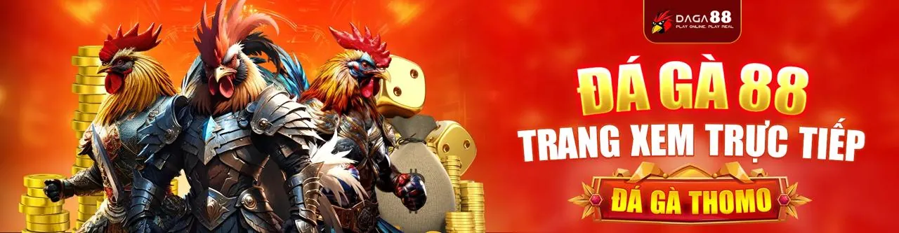 Cá cược bóng rổ tại Kubet Thabet